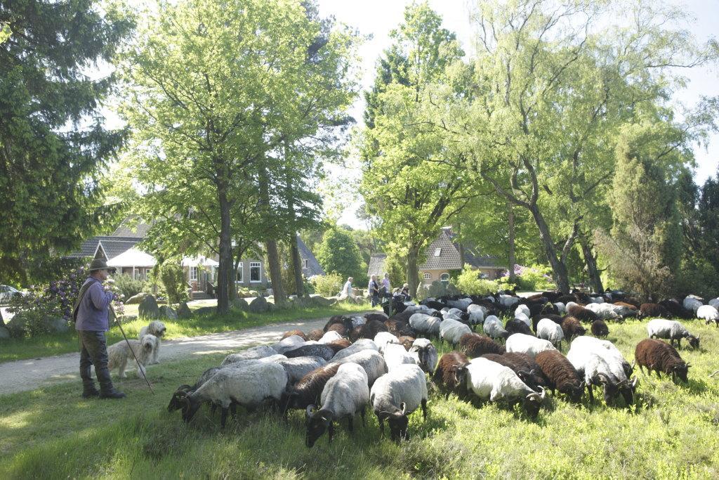 Gasthof Menke Niederhaverbeck Exteriör bild