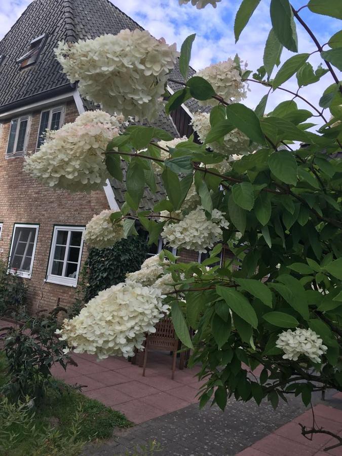 Gasthof Menke Hotell Niederhaverbeck Exteriör bild